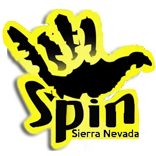 Logo Spin Pro Center
